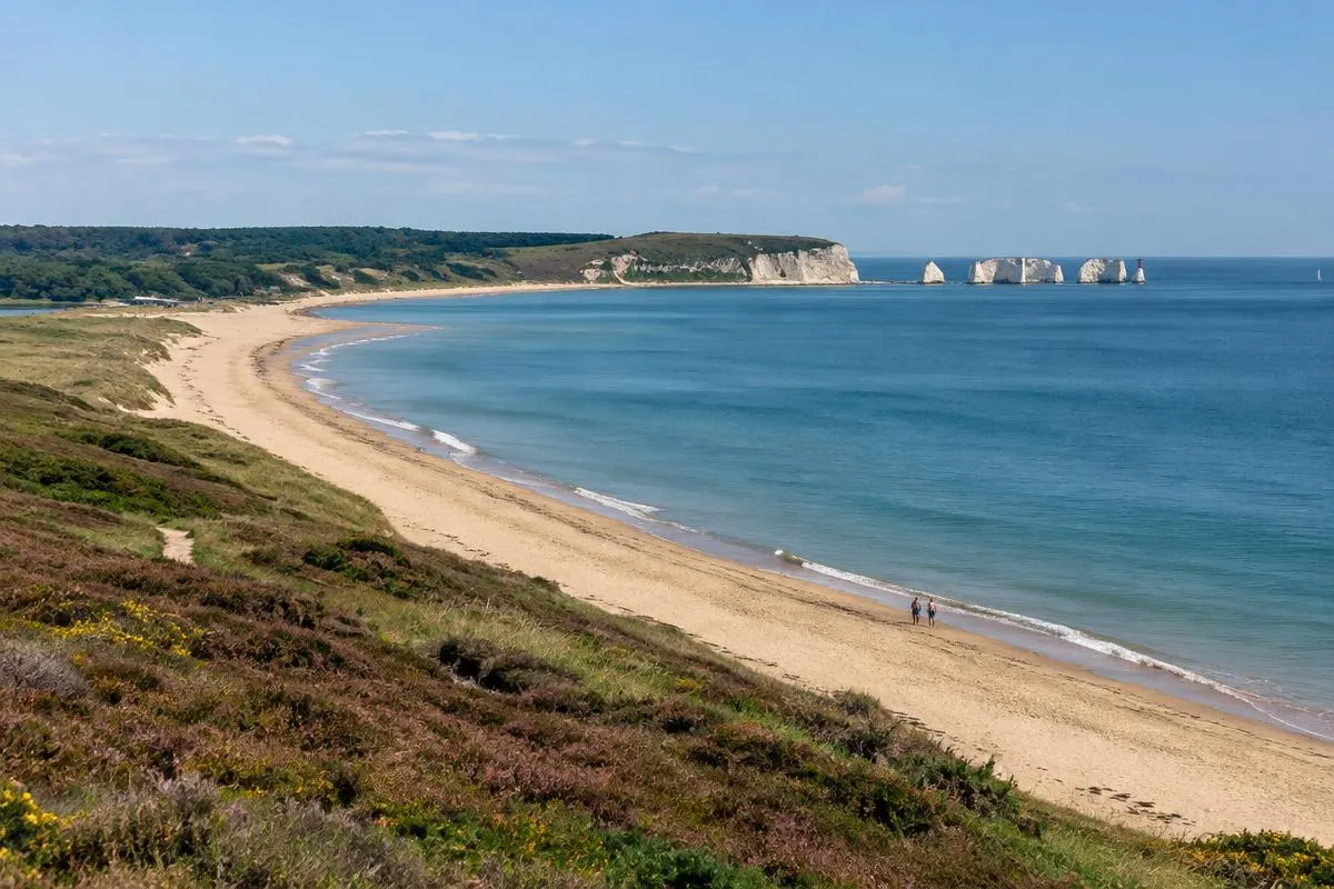 Studland Bay beach and heathland with Old Harry Rocks in the distance